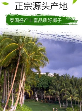 泰国原装进口卸妆初榨椰子油