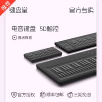 ROLI SEABOARD RISE 25 key 49 key 61 key electric sound keyboard Five dimensional MIDI keyboard controller