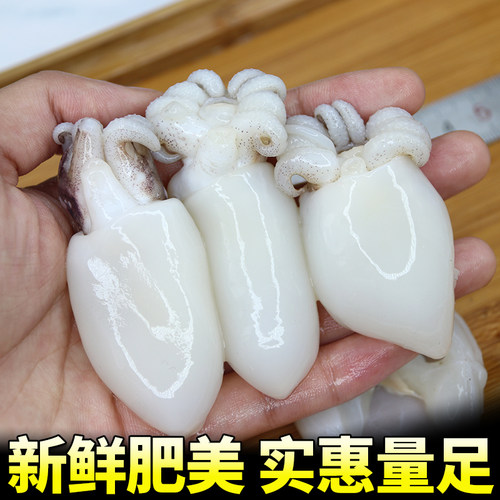 大号墨鱼仔生鲜新鲜冷冻墨斗鱼小目鱼仔海鲜火锅烧烤食材小乌贼 - 图1