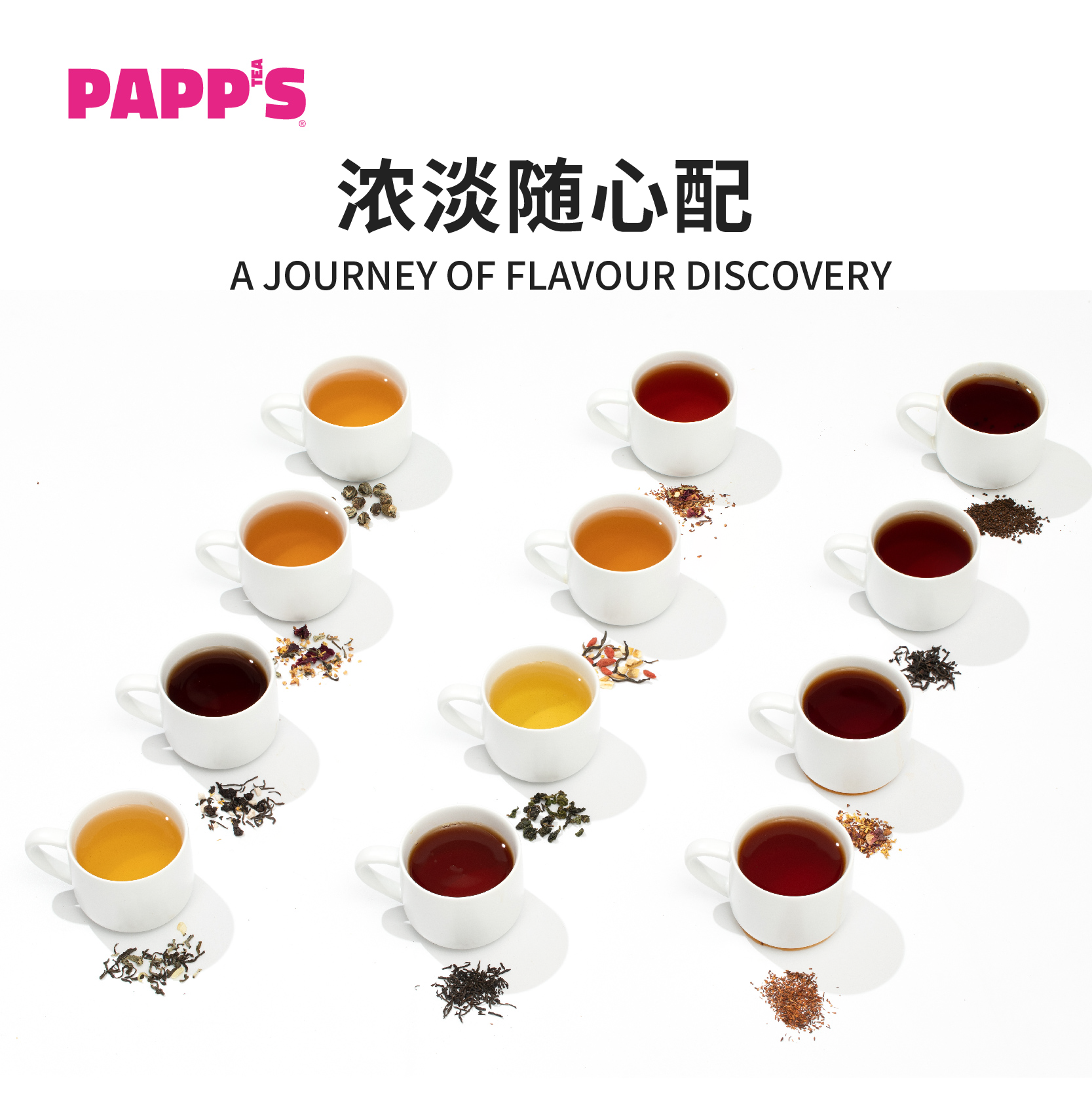 PAPPS派帕斯全系列多款口味精选原叶袋装散茶250g - 图2