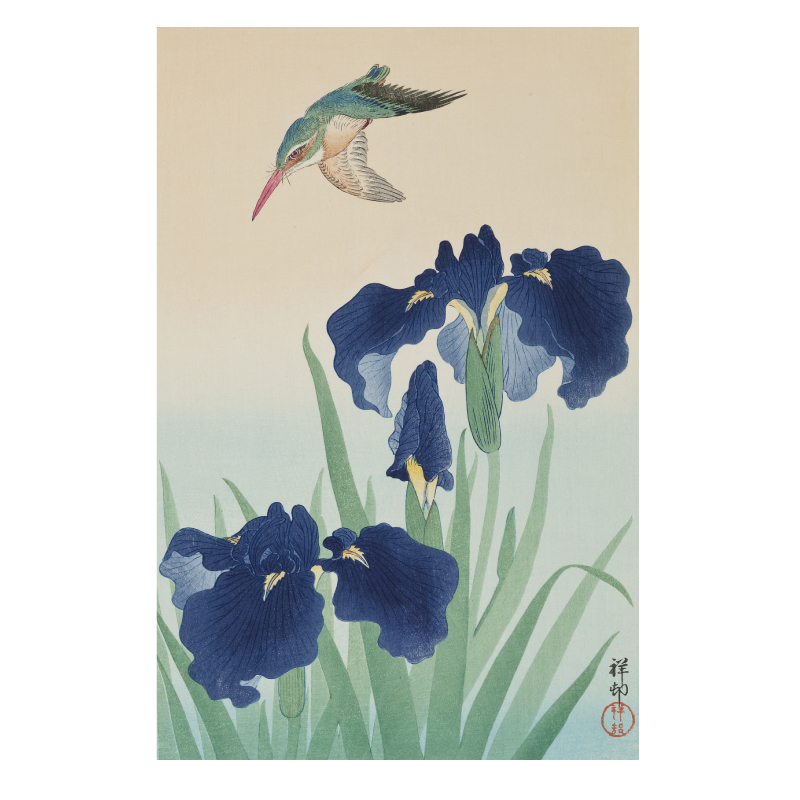 小原古邨 Ohara Koson 高清电子画册 花鸟虫鱼绘 水墨画 版画素材 - 图2