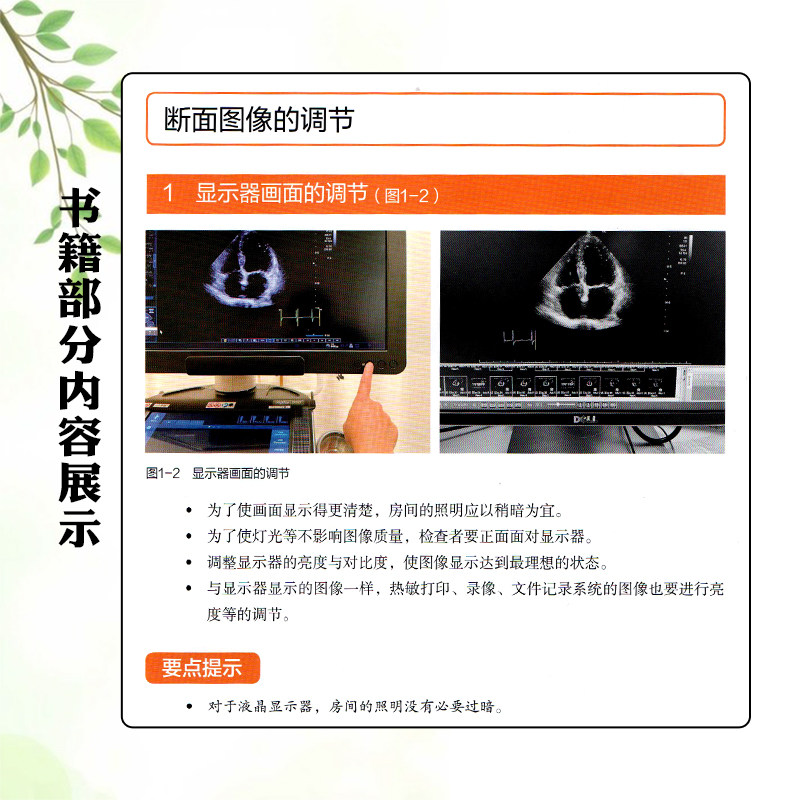 超声解剖及扫查技巧图解 诊断学医学影像图谱人体断层彩超书籍正常值测量备忘录技术入门b超血管肌骨心超笔记腹部精细讲解心脏动图