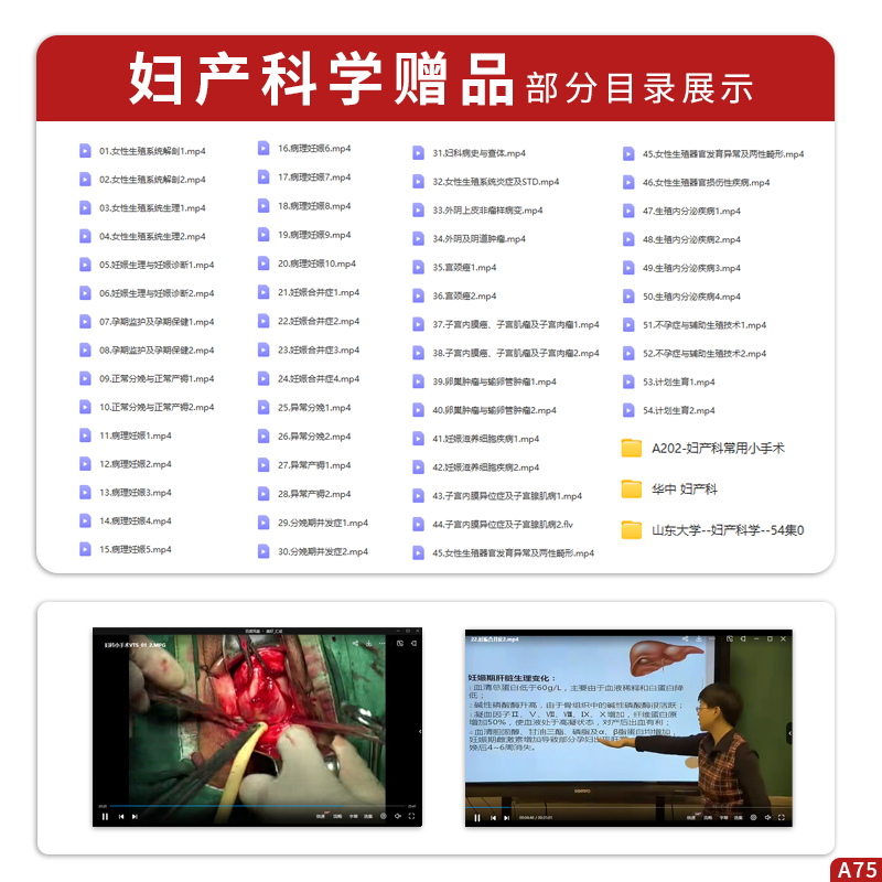 正版4本 协和医院妇科内分泌PBL门诊导引病案集+妇科与生殖内分泌掌中宝+简明妇科内分泌诊疗手册+更年期与妇科内分泌疑难病例评析