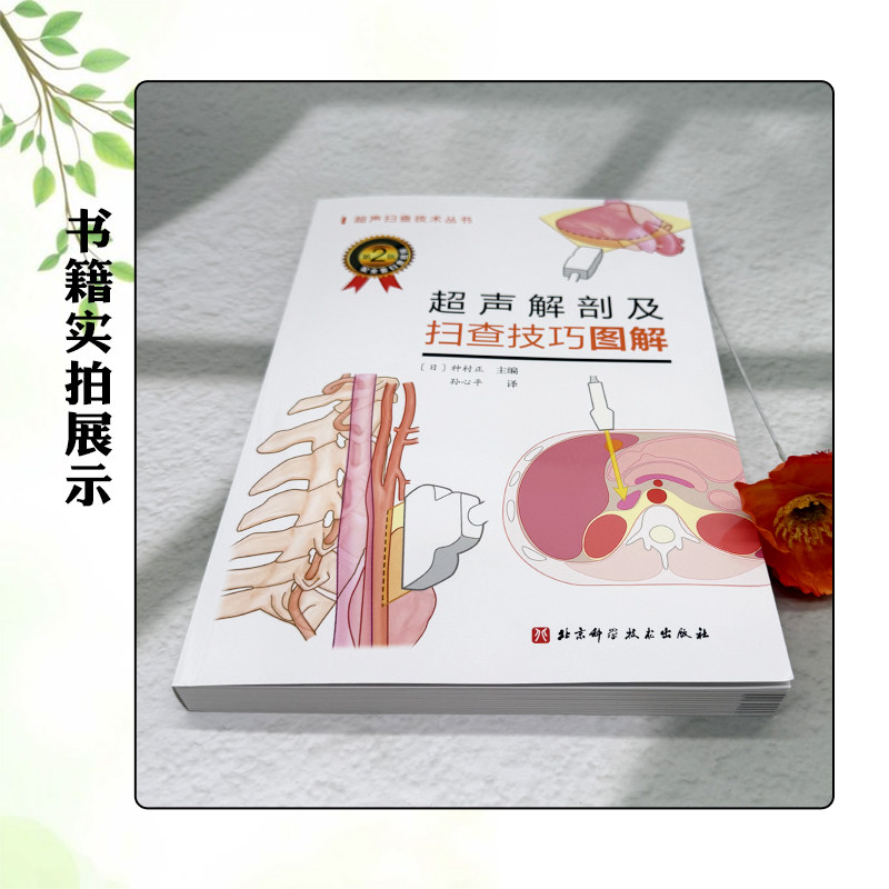 超声解剖及扫查技巧图解 诊断学医学影像图谱人体断层彩超书籍正常值测量备忘录技术入门b超血管肌骨心超笔记腹部精细讲解心脏动图