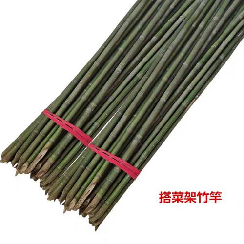 小竹子细竹竿菜园搭架户外篱笆豆角竹竿旗杆2米跳舞长竹竿粗大竹 - 图3