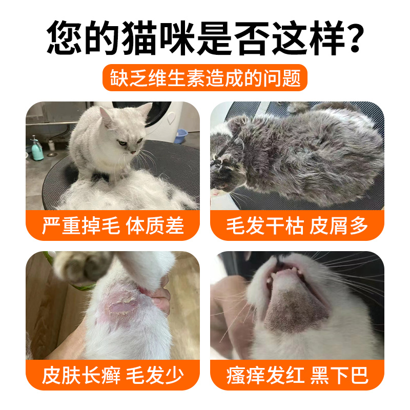 猫咪掉毛吃什么防止猫脱毛猫掉毛严重猫猫益生菌调理肠胃维生素-图0