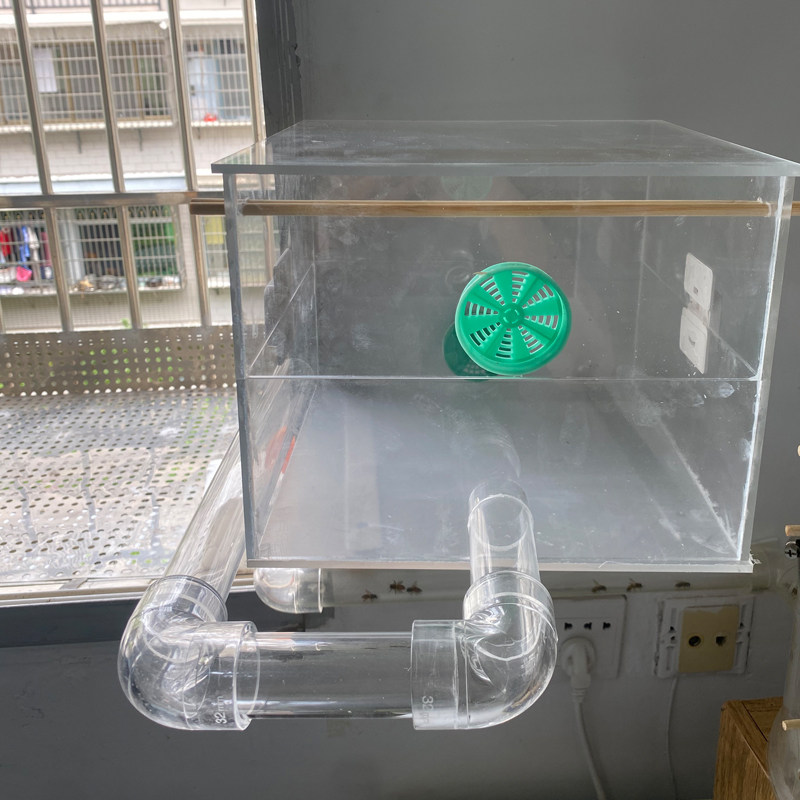 家里室内养蜜蜂透明格子活框亚克力玻璃蜂箱一整套蜂路管直播展示,淘宝优惠券,粉丝福利购,淘宝优惠卷