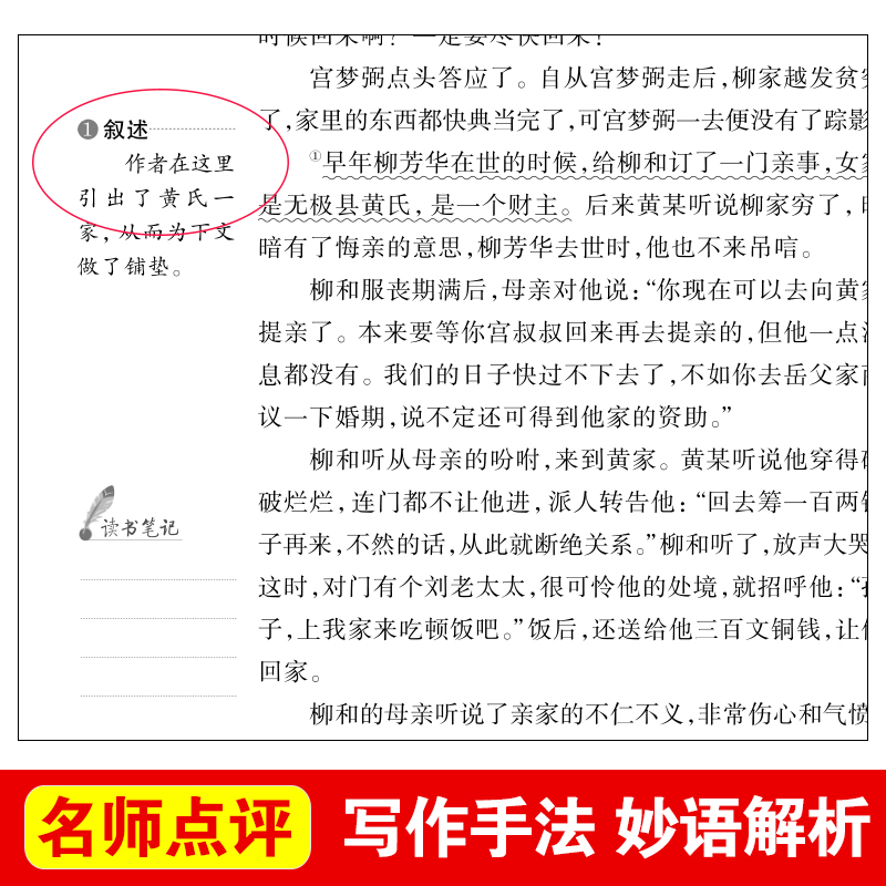 聊斋志异白话文青少年版九年级上册必读名著初三学生课外书初高中生阅读书籍原著正版明清中国古典小说全集原文 9年级上文学畅销书-图1