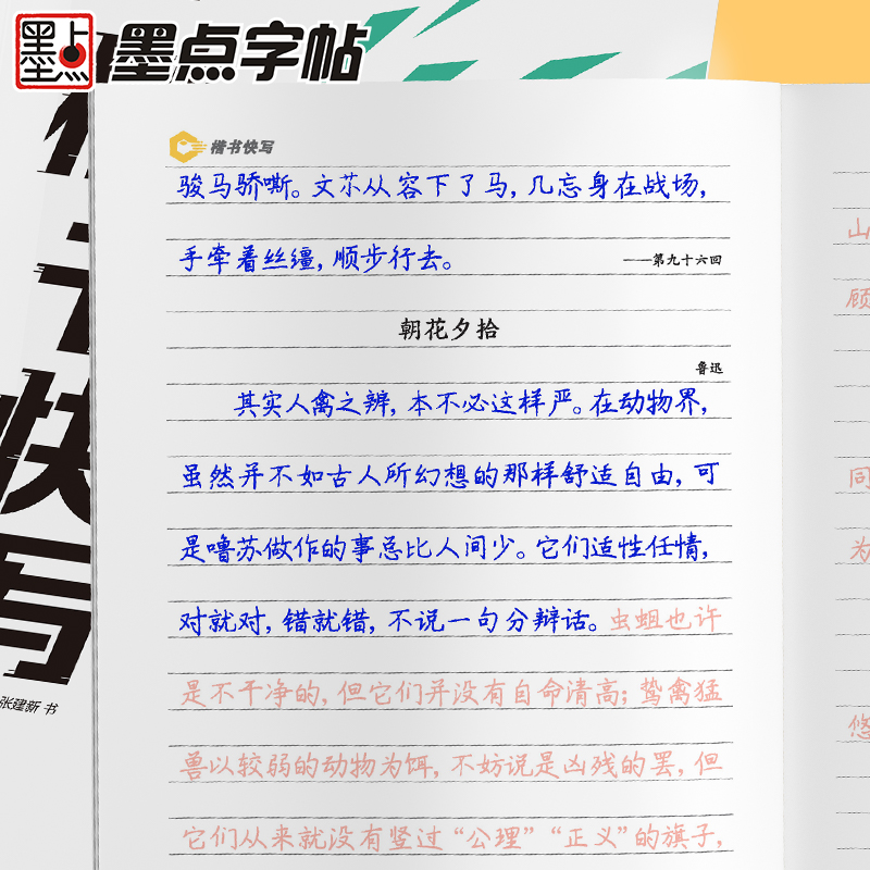 墨点字帖楷书快写体技法教程强化训练初学者零基础楷书入门教程每日一练大学生初高中生练字成年男硬笔书法练字本楷体临摹钢笔字帖 - 图2