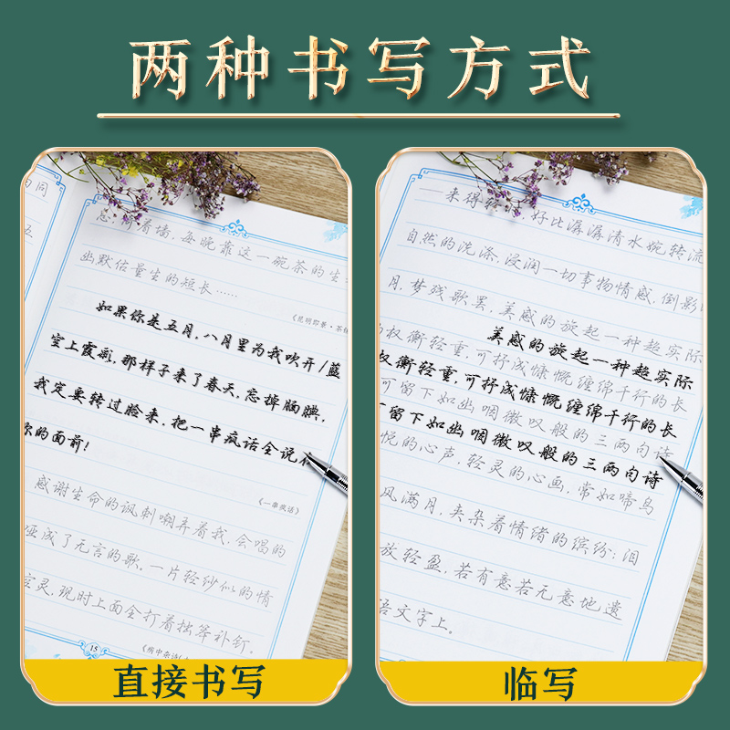 墨点字帖荆霄鹏行楷字帖练字成年男女生字体漂亮高中生大学生练字帖成人硬笔书法练字本林徽因诗集诗词钢笔字帖练字专用描红字帖 - 图1