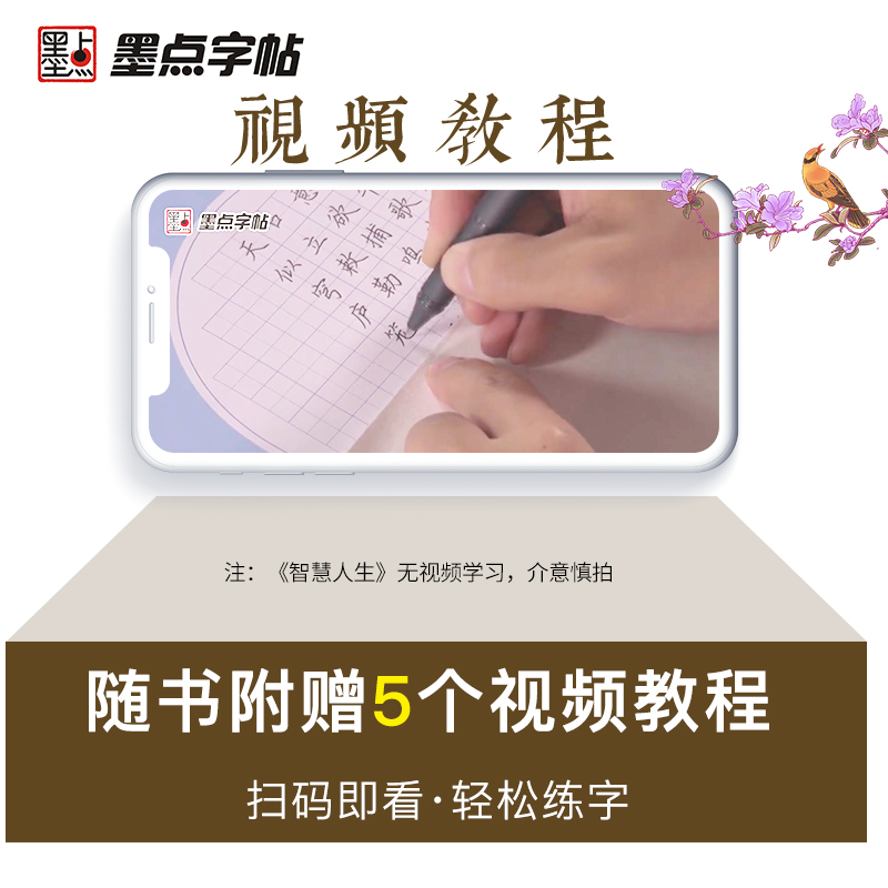 墨点字帖楷书行楷大学生国学经典文化字帖练字成年男女生唐诗宋词三百首荆霄鹏临摹名著格言名家散文优美诗歌初学者正楷硬笔字帖