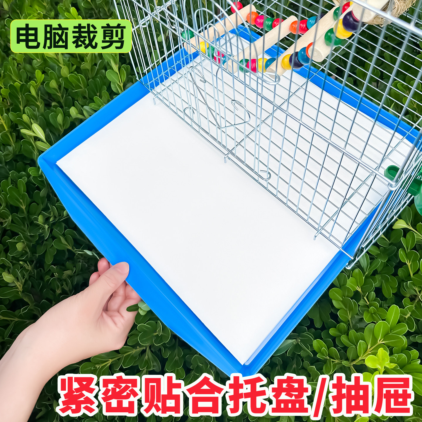 图2