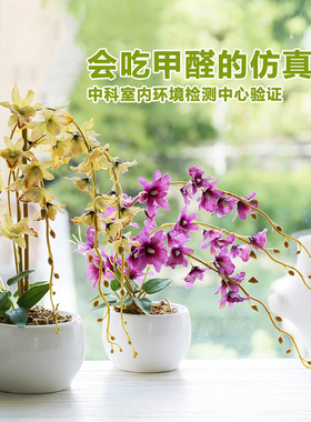 和家石斛兰仿真花樱花小洋兰绢花