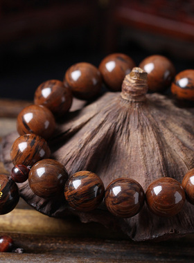 红曜石属龙属蛇普贤菩萨属蛇