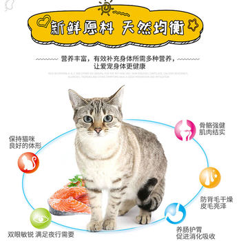 Al beef flavored cat staple food 10kg 20kg ລາຄາເຕັມ pet cat dry food stray cat food ສົ່ງຟຣີຫລາຍແຂວງທົ່ວປະເທດ