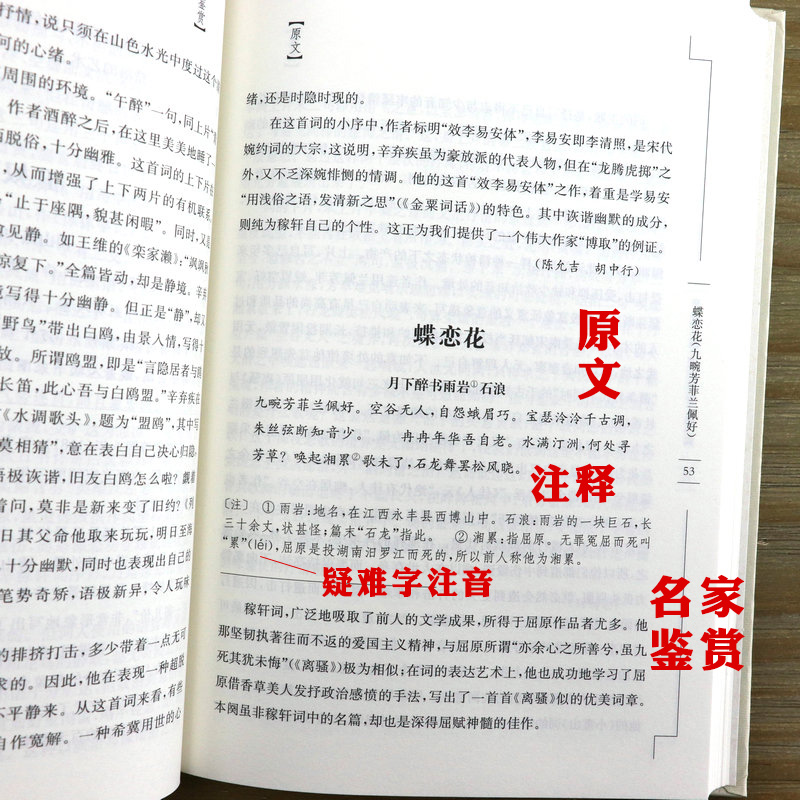 辛弃疾词鉴赏辞典精装中国文学名家名作鉴赏辞典系列辛弃疾词集诗词全集词选词传词校笺词编年笺注辛弃疾传辛稼轩年谱书 - 图1