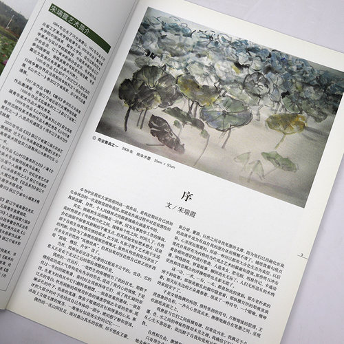 【库存尾品】中国当代美术家书系·宋瑞霞中国画 - 图0