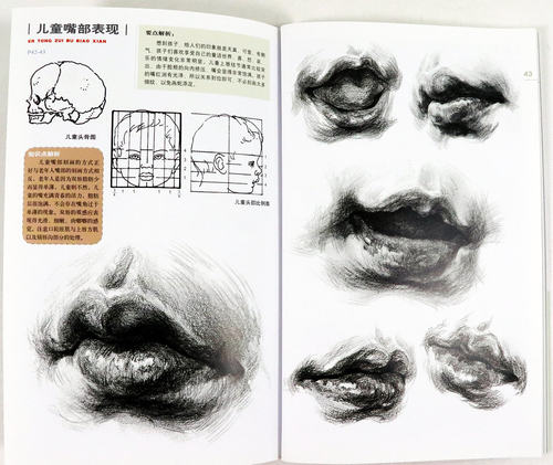 【库存】教学知本素描嘴绘画从入门到精通石膏五官基础素描教程素描头像超群素描头像铅笔素描五官从五官到石膏素描 - 图3