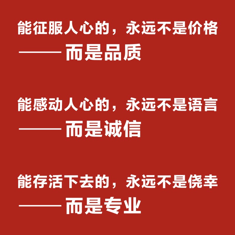 定制专拍链接 请联系客服 定制类产品不支持退货换货 乱拍不发货 - 图3