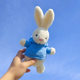 Doll Rabbit ປິ່ນປົວຂອງປະທານວັນເກີດ plush toy