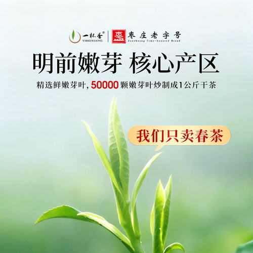 2026新茶一杯香明前云雾绿茶茶叶500g自己喝春茶浓香官方旗舰店 - 图3