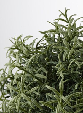 宜家菲卡人造盆栽植物迷迭香