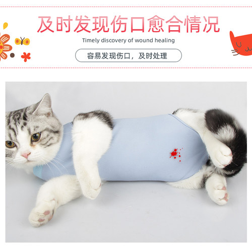猫咪绝育服纯棉猫咪绝育衣宠物绝育服毛术后防舔透气薄款宠物衣服 - 图3
