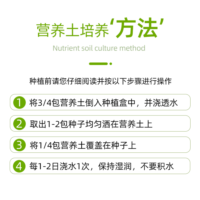 猫草水培种子除毛球猫零食猫薄荷营养土猫草种籽猫咪用品盆栽套装-图2