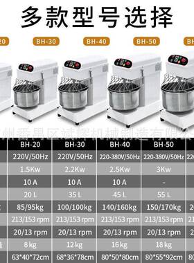 斌辉双速双动BH20/30/40/50/60商用揉面机不锈钢全自动和面机厂家