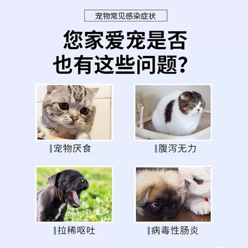 坦必欣宠物止泻片碱式碳酸铋片秘狗狗猫腹泻拉稀犬肠胃炎拉肚子药 - 图0