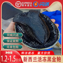 New Zealand Black Gold Bao Fresh Aquatic Frozen Seafood Extra-large Abalone Sashimi 1 2-1 5 Catty Australian Abalone