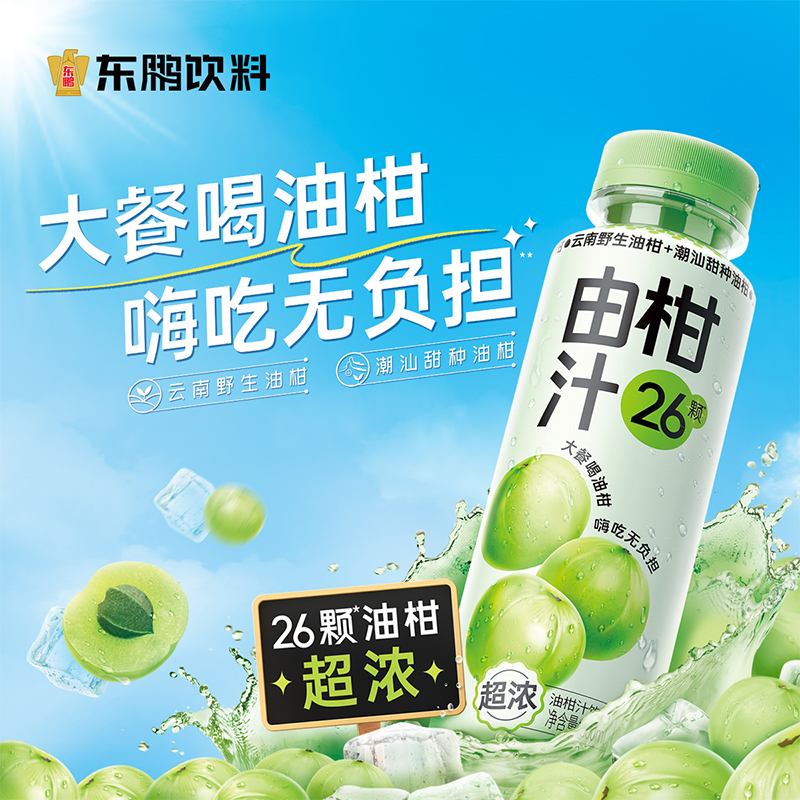 东鹏饮料由柑汁300ml*6瓶 维C超浓余甘子玉油柑果汁饮品清爽解腻 - 图2