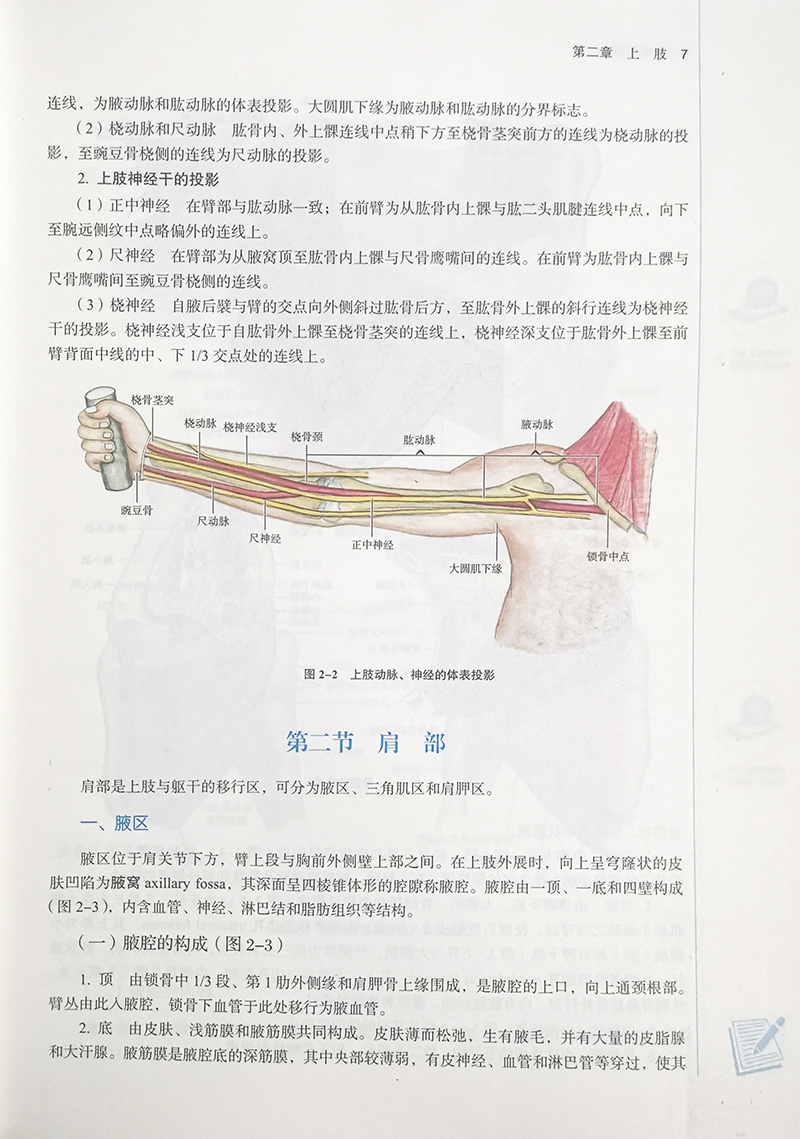 局部解剖学全国中医药行业高等教育十四五规划教材供针灸推拿学康复治疗学等专业用姜国华李义凯新世纪第二版9787513268509-图3