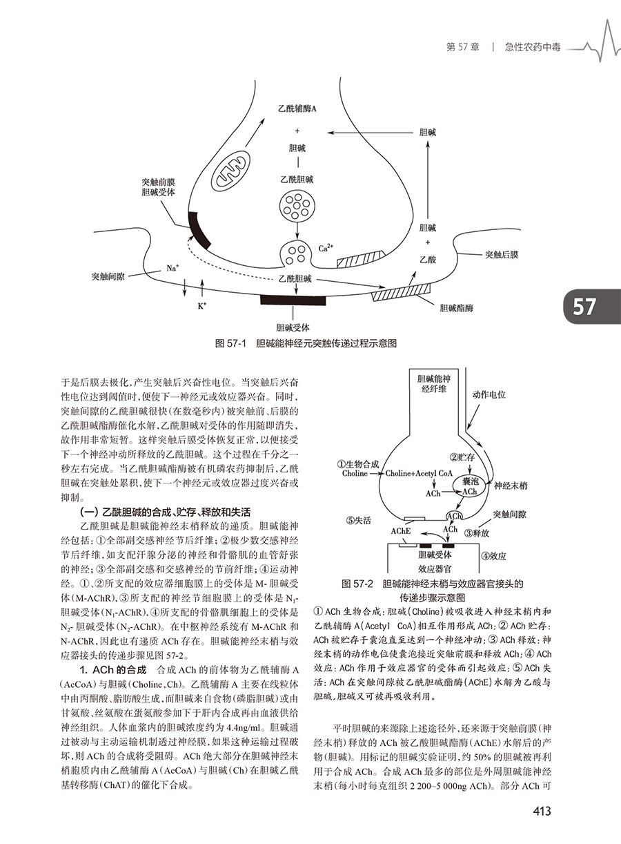 新版现货 急诊内科学 第5版五版张文武 内科急症医学重症医学内科学门诊急危重症常用诊疗技术药物 人民卫生出版社9787117351959 - 图3