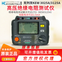 KYORITSU KLEETZ INSULATION RESISTANCE TESTER KEW 3025A 3125A X HIGH PRESSURE AUMETER