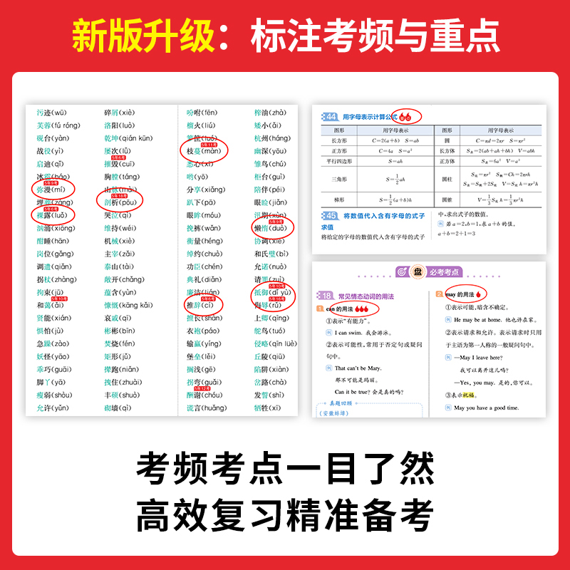 2025一本小学知识大盘点语文数学英语基础知识大全四五六年级考试总复习资料书知识清单汇总小升初必刷题人教版必背考点公式工具书 - 图1