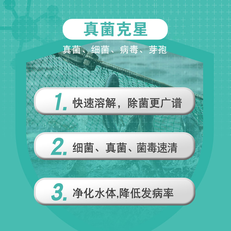 水霉病专治鱼药水霉疾病治疗正品白毛烂身烂尾病水产养殖硫醚沙星 - 图3