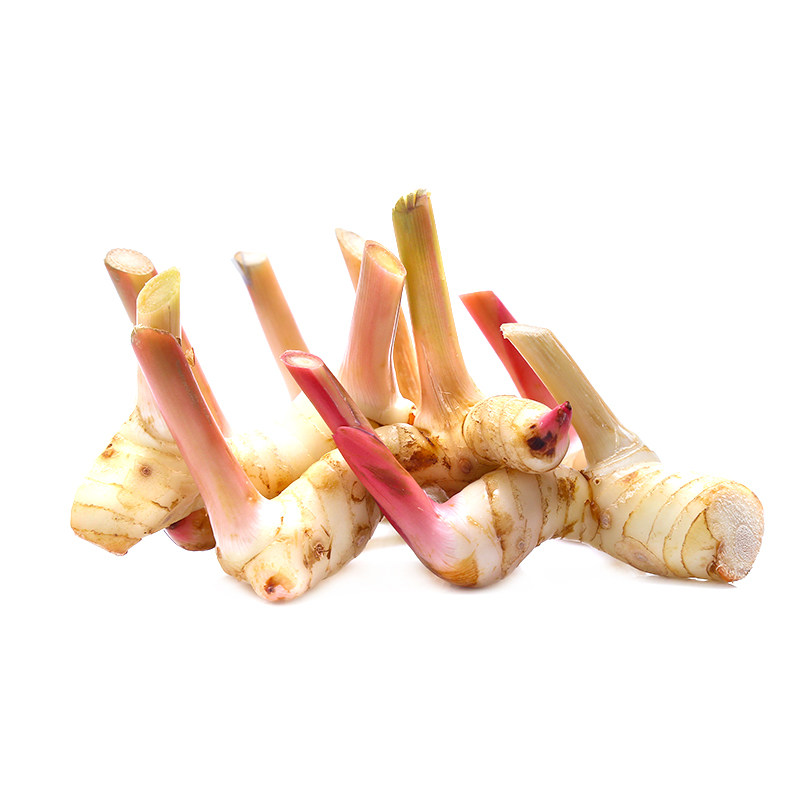 新鲜蔬菜泰国南姜500g 新鲜良姜芦苇姜高良姜冬阴功香料火锅底料,淘宝优惠券,粉丝福利购,淘宝优惠卷