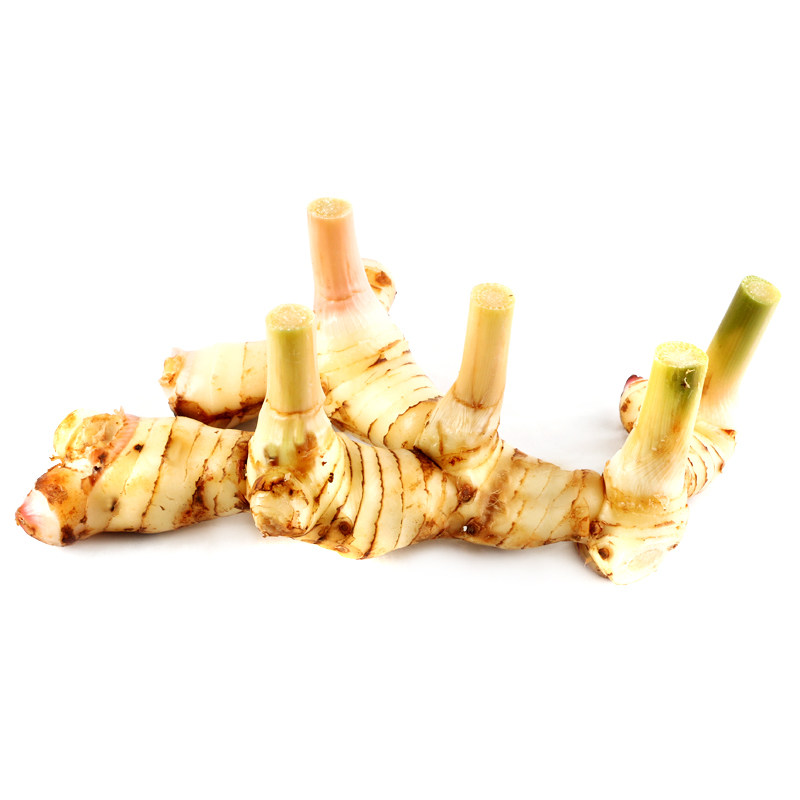 新鲜蔬菜泰国南姜500g 新鲜良姜芦苇姜高良姜冬阴功香料火锅底料,淘宝优惠券,粉丝福利购,淘宝优惠卷