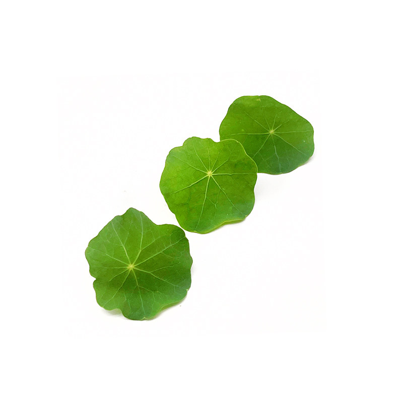 新鲜旱金莲非铜钱草40片三色堇西餐酒店花草摆盘蛋糕烘焙装饰点缀