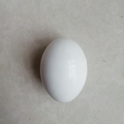 鸽子用品用具假鸽子蛋塑料假蛋实心孵卵用品赛鸽用品实心鸽子蛋-图3