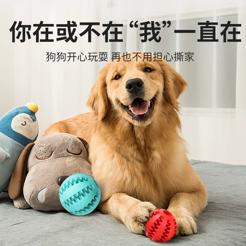 Собачья игрушечная мяч, чтобы кусать маленькие большие собачьи края