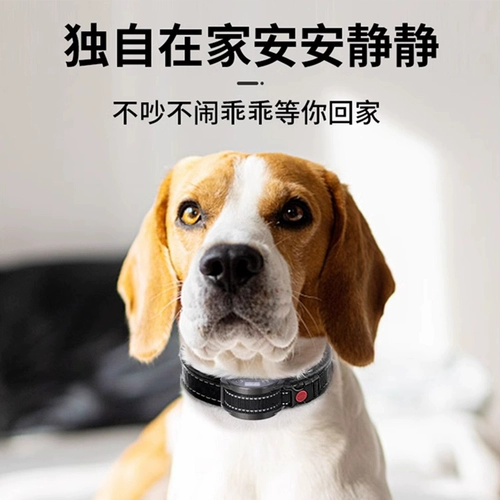 Автоматическая стопора лай для предотвращения ладации собак маленьких собак Pet Electric Shock Travel Dog Dogs Dog Ring Ring Dog Anti-Barking Artifact нарушает людей