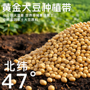 豆美多豆奶植物蛋白饮品营养早餐代餐