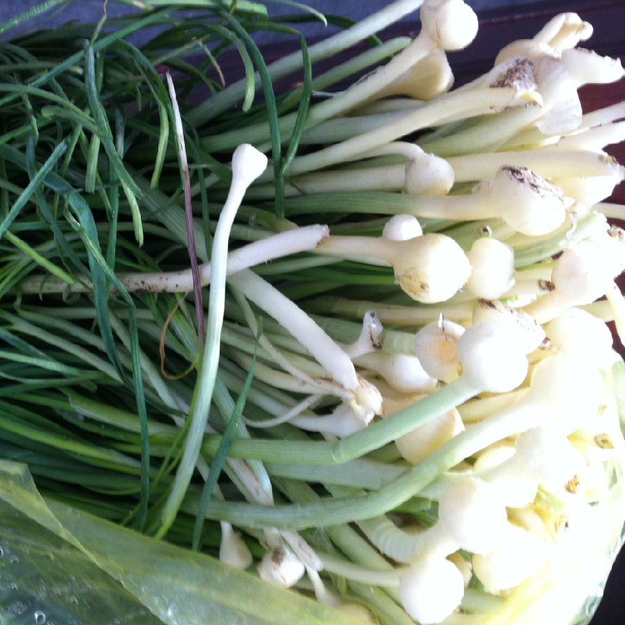 湘西特产野生野葱酸菜野蒜茭头胡葱酸外婆菜开胃菜下饭下酒菜100g