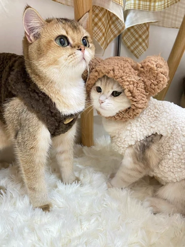 Милый брендовый удерживающий тепло демисезонный жилет, пуховик