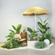 High-end simulated green plants combined with tropical plants