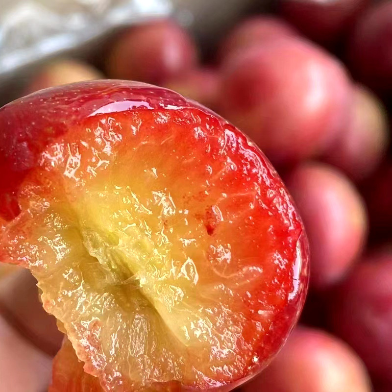 智利进口樱桃李5J级别吉制礼盒纯甜李子樱桃蜜甜新鲜水果顺丰包邮,淘宝优惠券,粉丝福利购,淘宝优惠卷