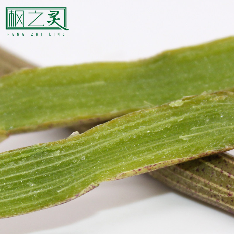 枫之灵铁皮鲜条雁荡山原产种植枫斗 枫之灵石斛/枫斗