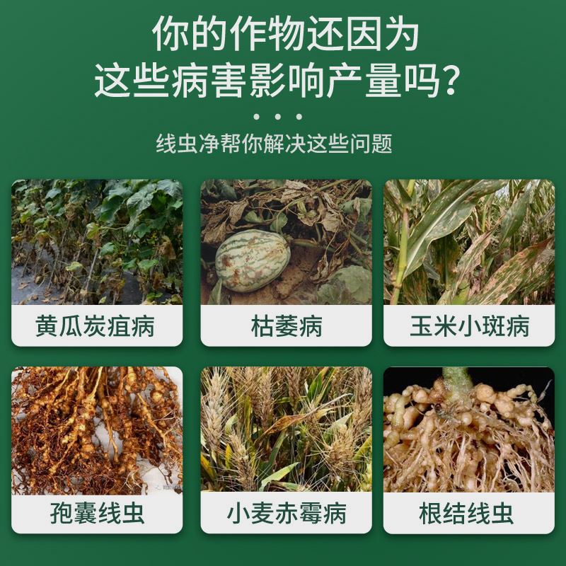 因艾氏农用物资微生物肥料线虫净微生物菌剂有效活菌数10亿/g拌肥 - 图1